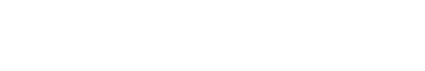 ξ